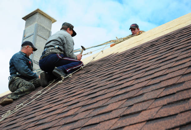 Best Roof Repair Services  in Lake Landor, VA